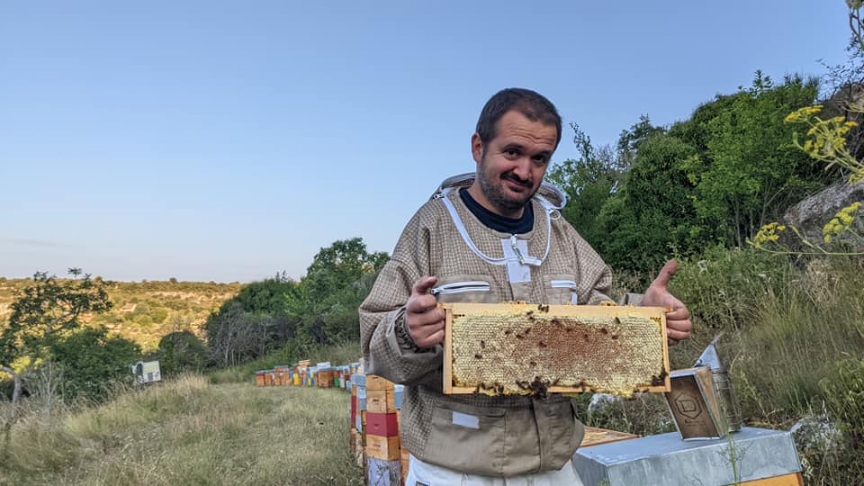 Apiculteur san voile avec un cadre de miel ruche ouverte